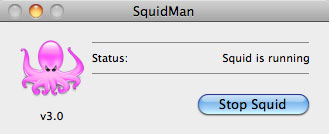 SquidMan GUI when running